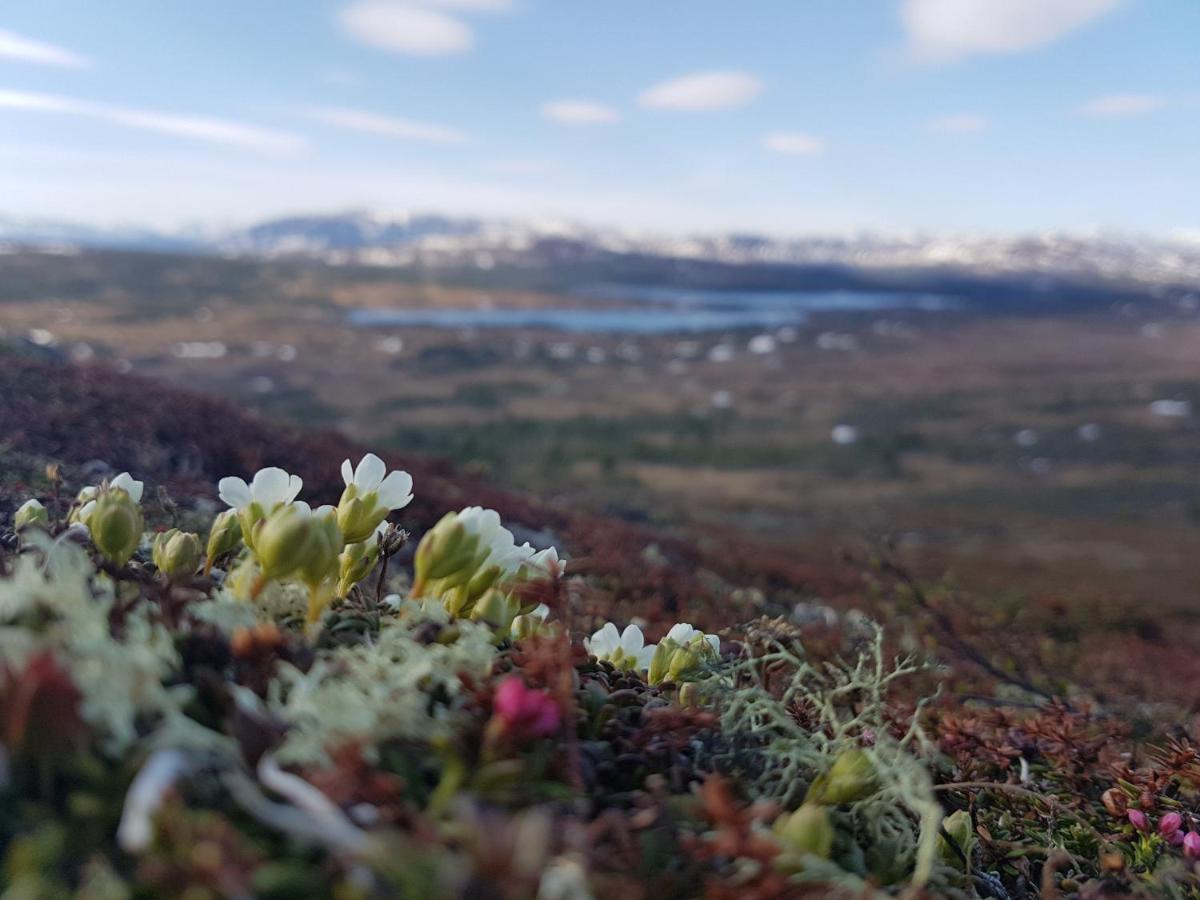 Edsasdalen Renfjaellsgarden 호스텔 외부 사진